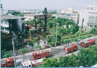 火事で建物や周りの木が黒くなっている消火後の様子を上から写した写真