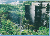 木で周りを覆われた建物が黒く焼け焦げている写真