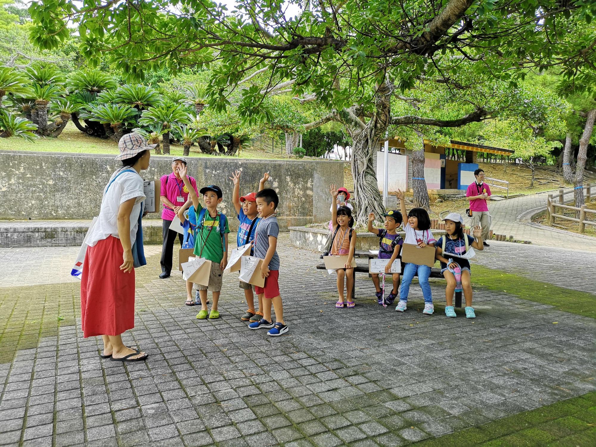 大きな木の傍で1人の女性と向かい合って立っている4人の子供とベンチに腰かけている4人の子供の写真