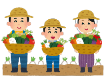 野菜収穫