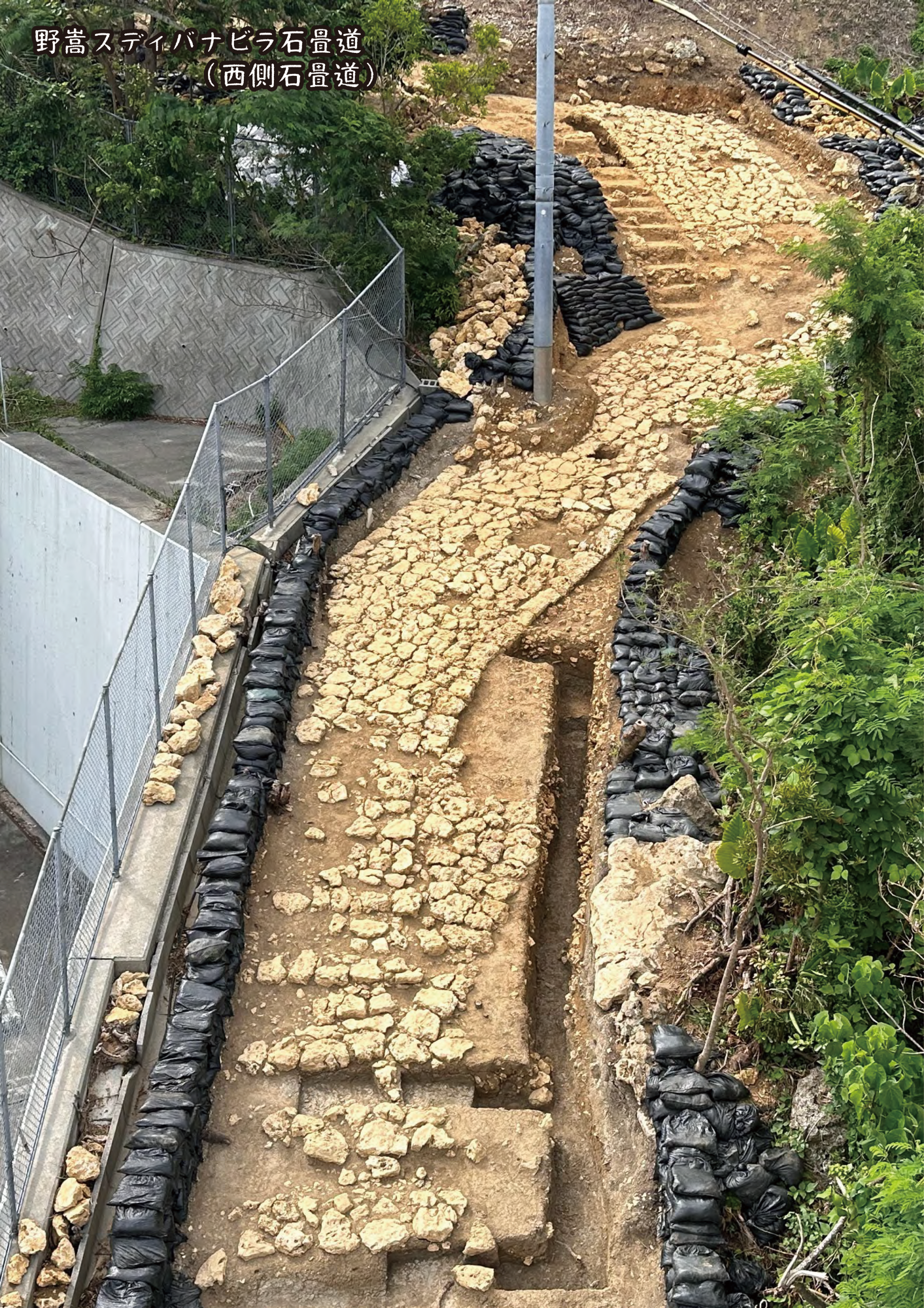 野嵩スディバナビラ石畳道(西側)