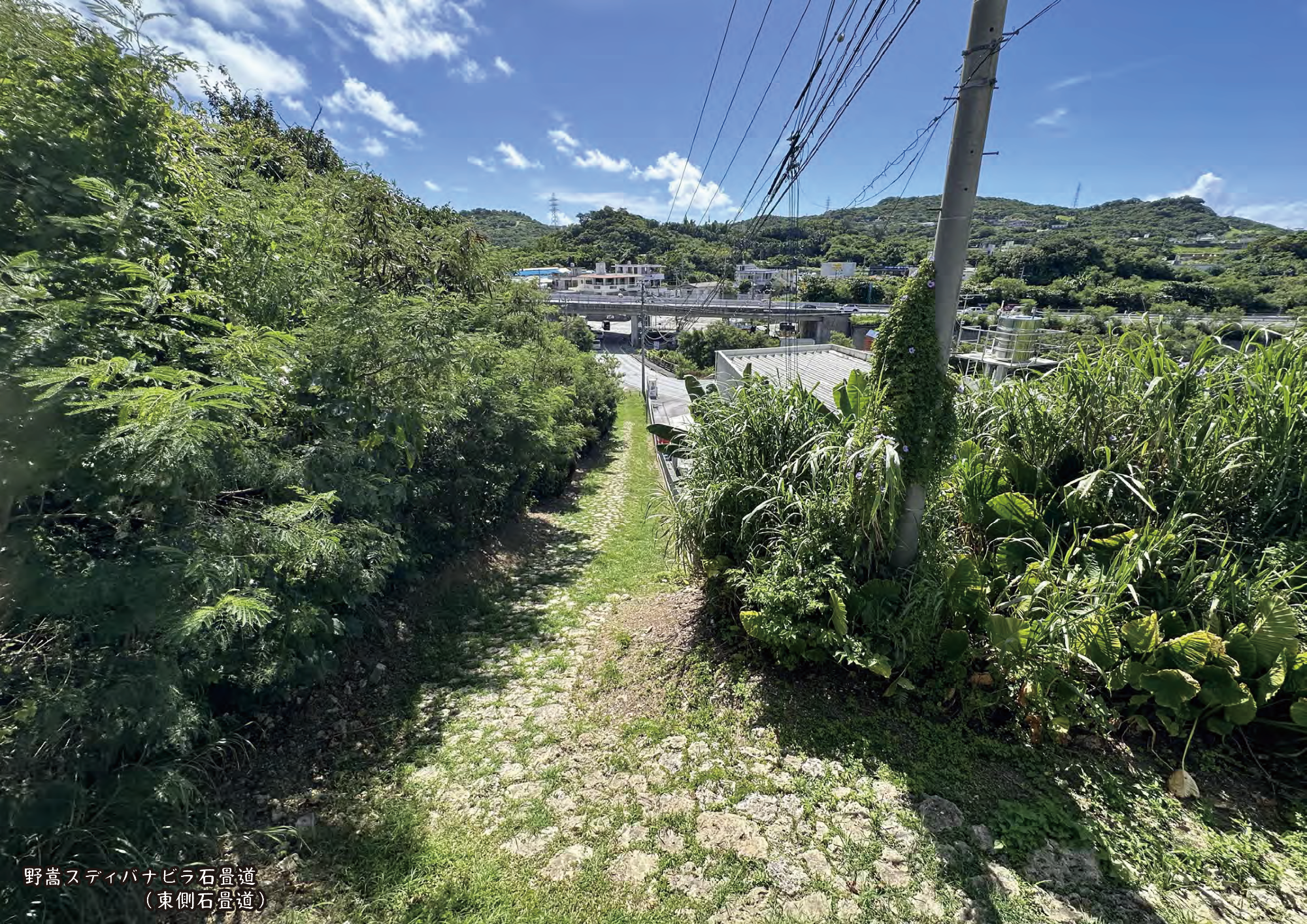 野嵩スディバナビラ石畳道(東側)