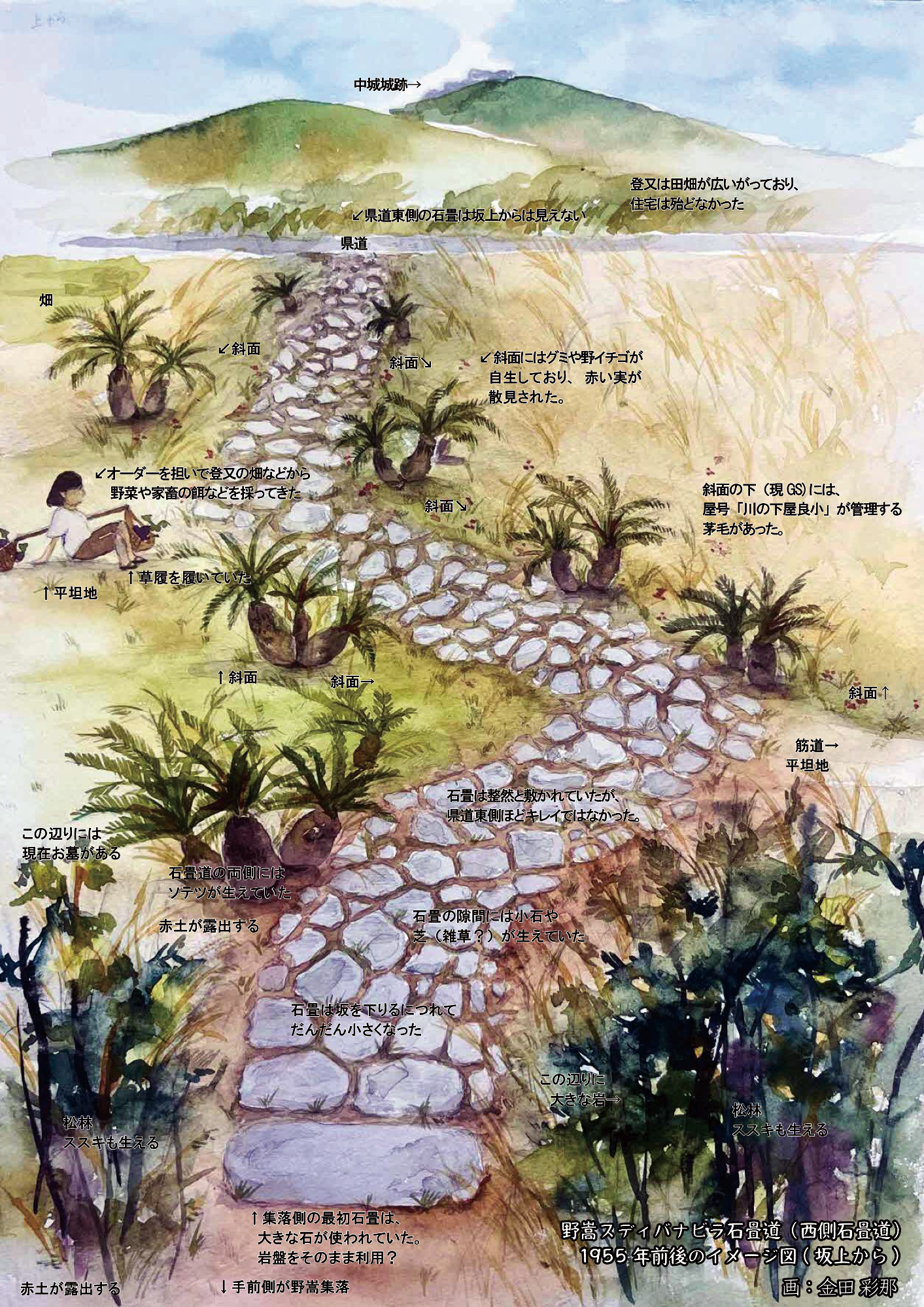野嵩スディバナビラ石畳道(県道西側)坂上から