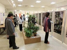 鉢植えの展示を見学する来場者と、壁側のボードに貼られた展示品を見学している来場者の写真