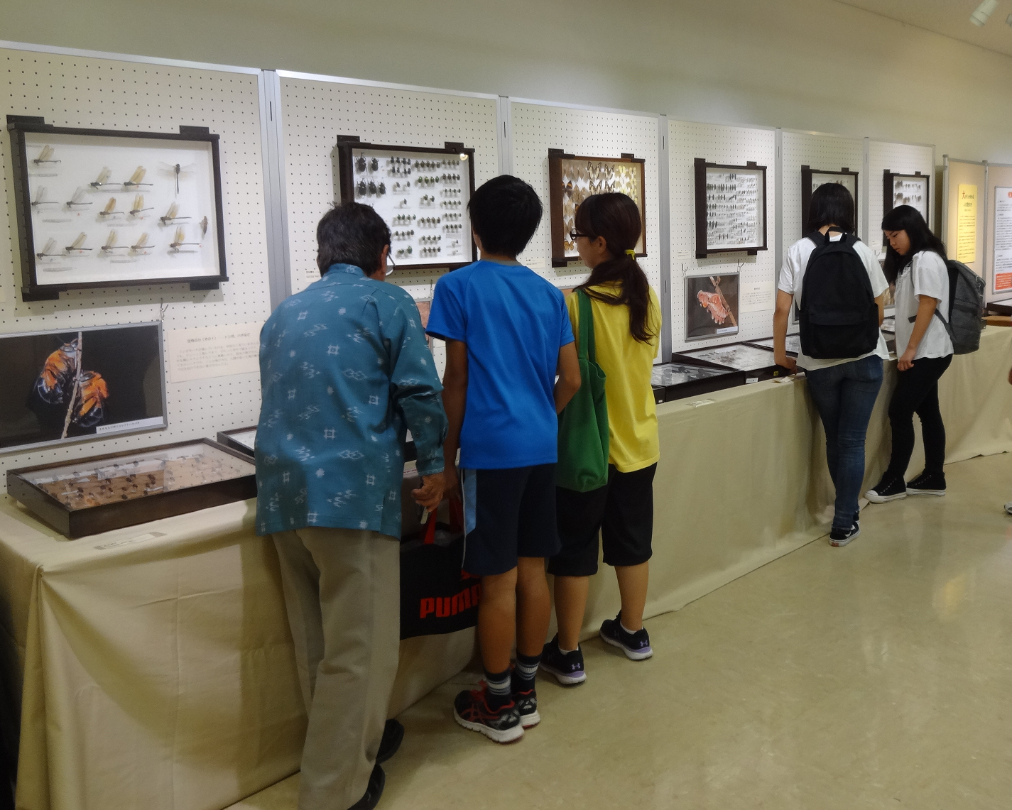 標本が展示されているブースを見学している来場者の写真