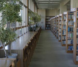 沢山の本棚の横に、壁側に机と椅子のカウンター席が設置してあり写真