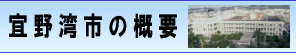 宜野湾市の概要