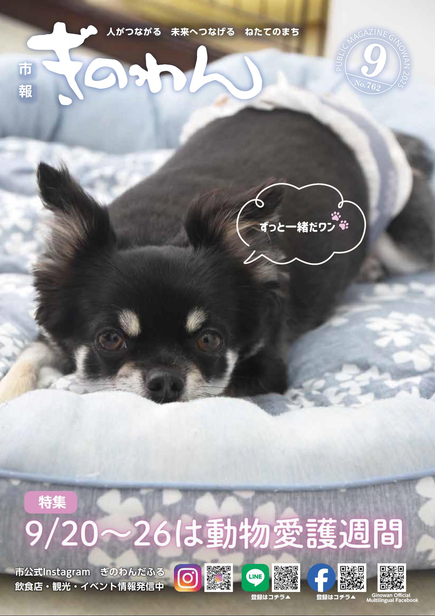 令和7年市報ぎのわん9月号