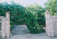 石で作られた門が両脇に立っていて、中央にはアーチ型に葉で覆われた木がある写真