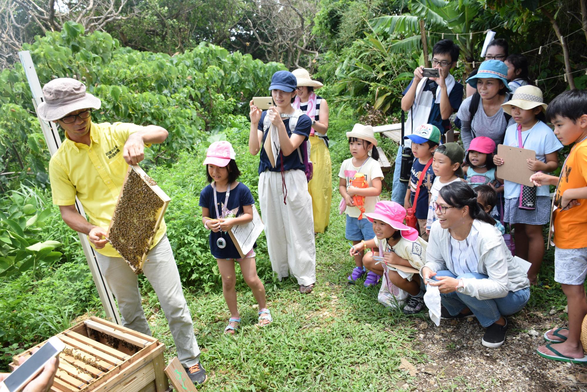 養蜂箱からミツバチがとまっている金網を取り出している講師の男性とその様子を傍で見ている親子連れの写真