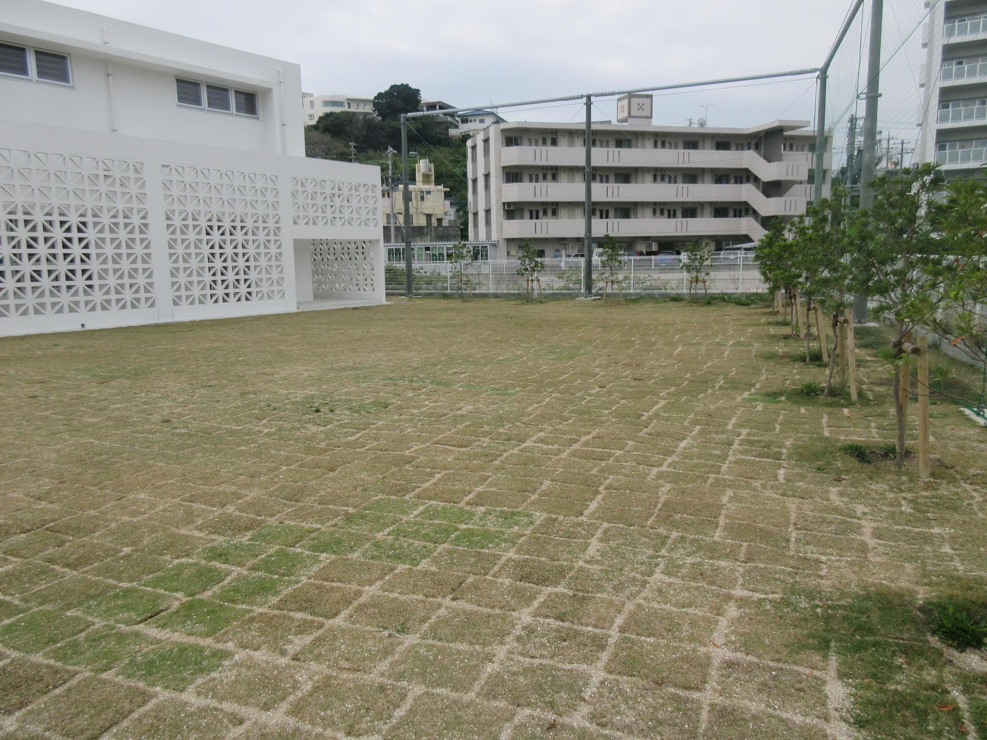 建物横の芝生が植えられてある広場の写真