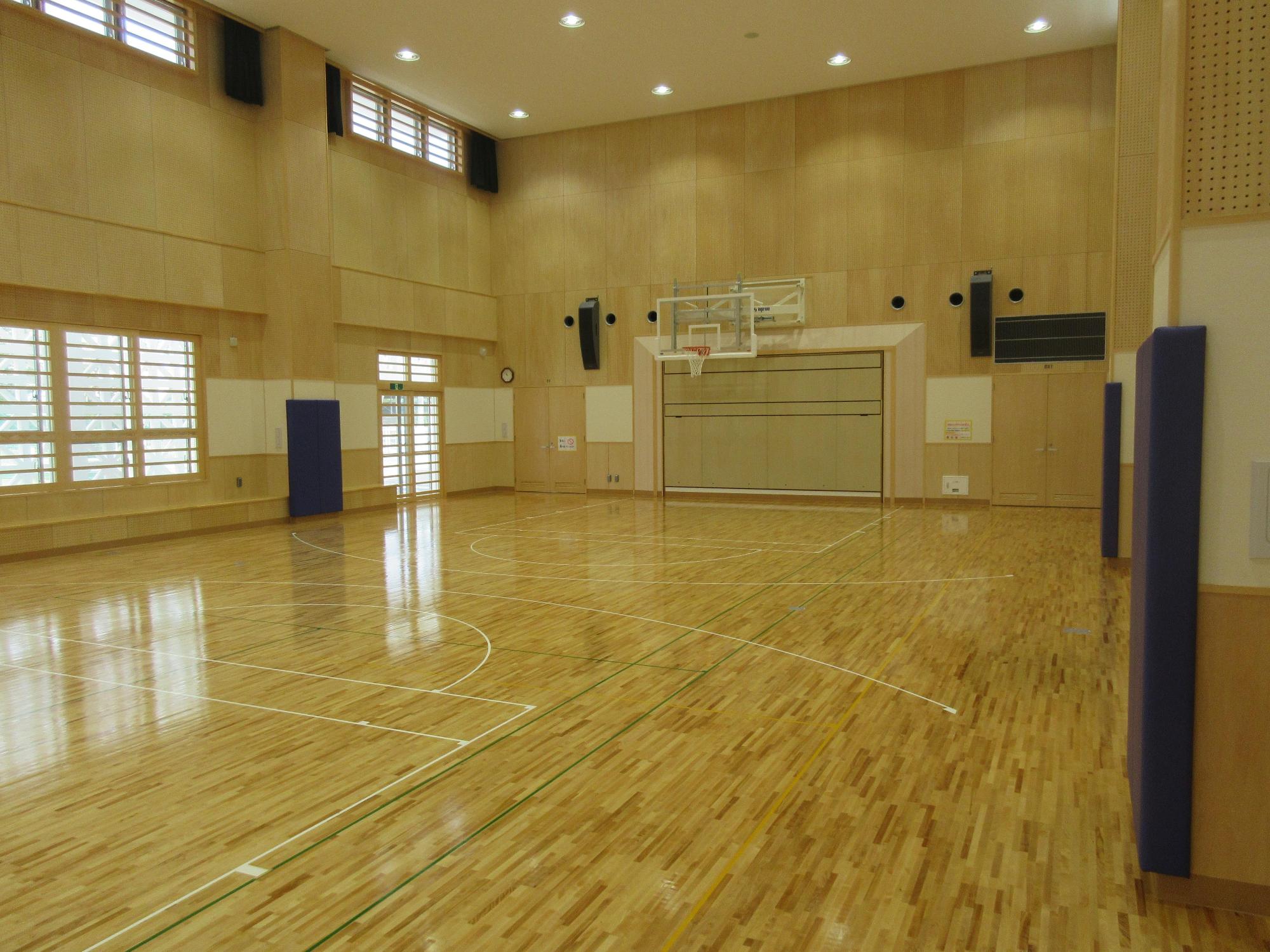 バスケットゴールがあり、床には様々な競技用の白と緑のラインが引かれてある体育館内の写真