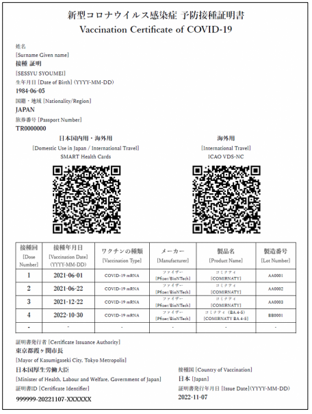 海外用及び国内用見本