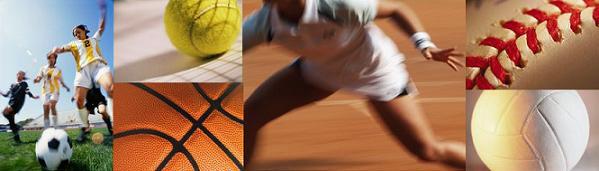 (左から）サッカーボール、テニスボール、バスケットボール、左腕にリストバンドをした人が構えている格好、野球ボール、バレーボールの写真