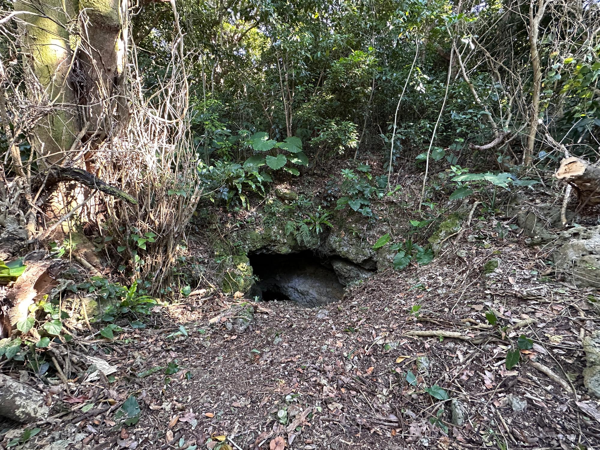 21st Jan 2025. The entrance of the cave