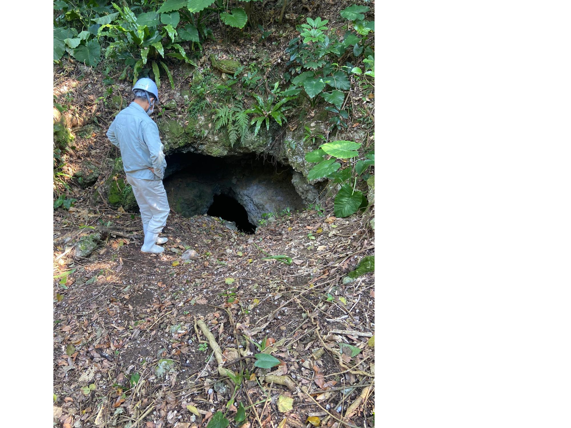 The size of the entrance (I&rsquo;ve got to go in there&hellip;)