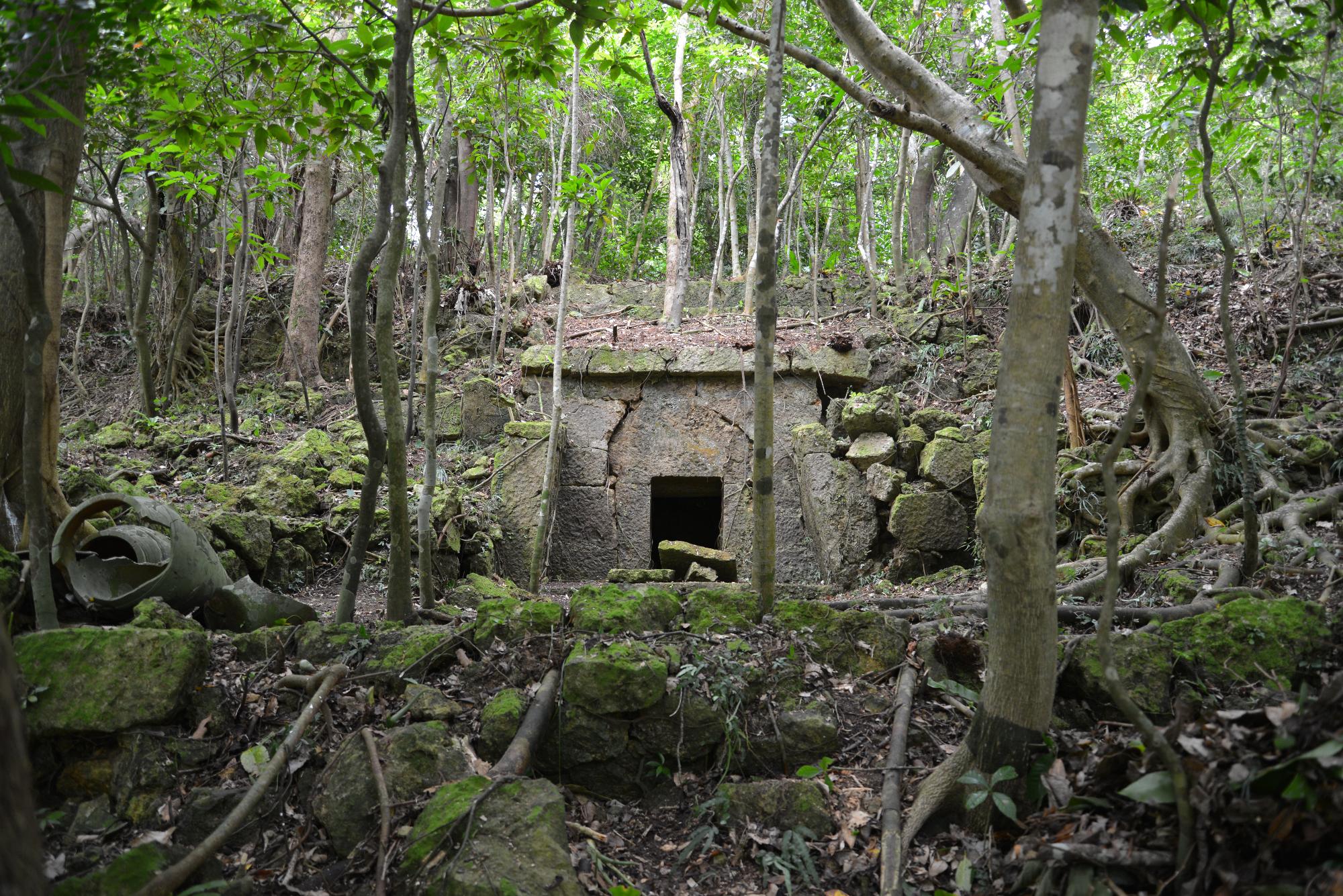赤道シキロー流域古墓群　西8-1号墓(2014年3月20日)