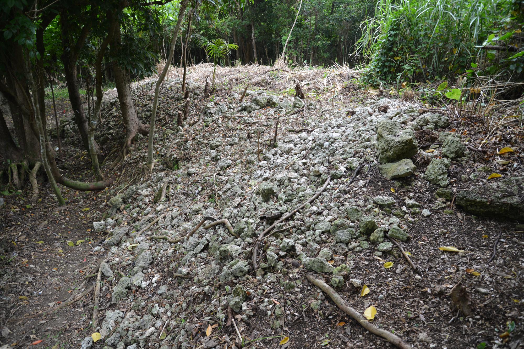 赤道シキロー流域古墓群の集石（2014年3月28日）
