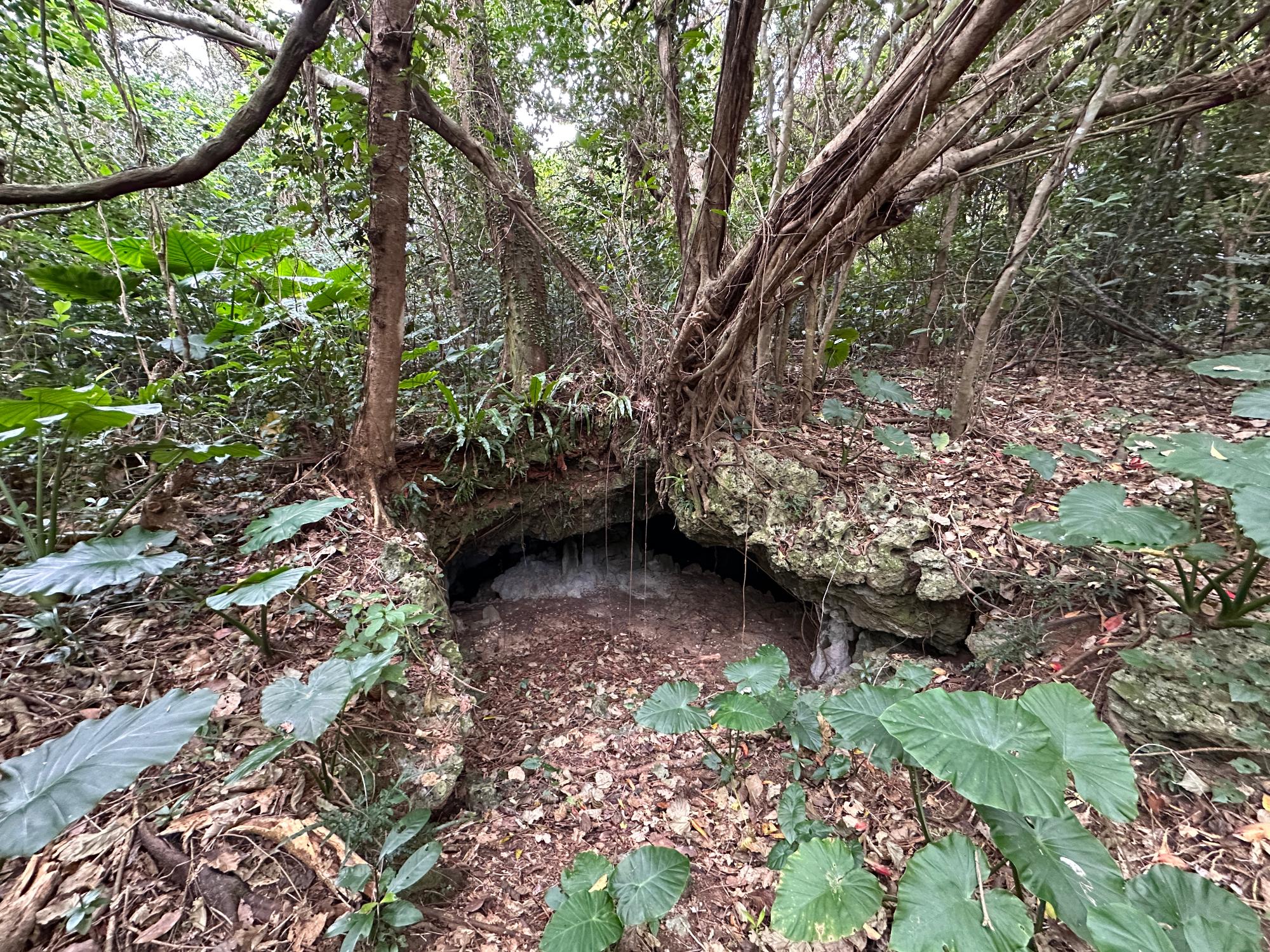 Kamiyama Teragama Cave (January 23, 2025)