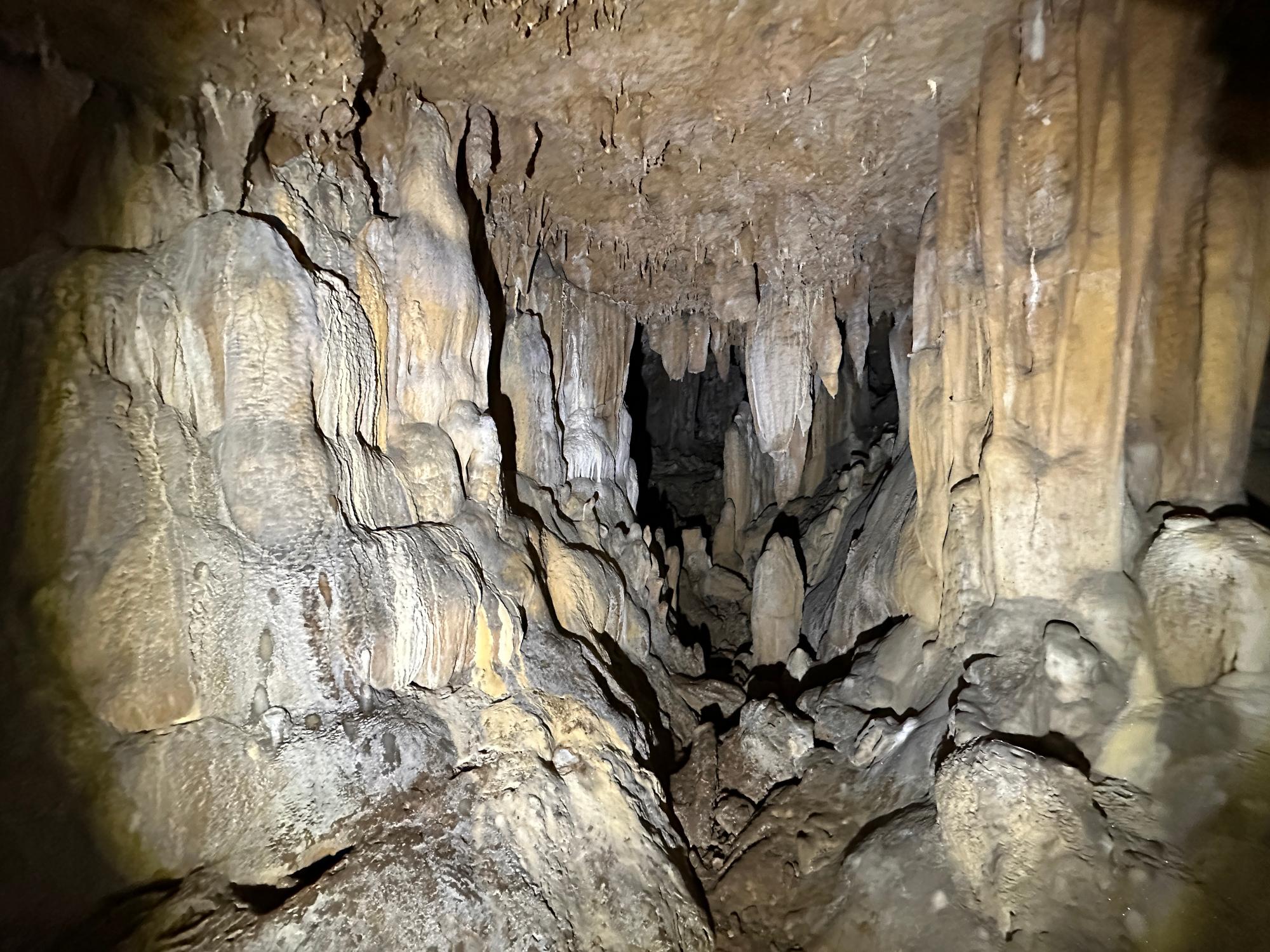 Inside Kamiyama Teragama Cave (January 23 2025)