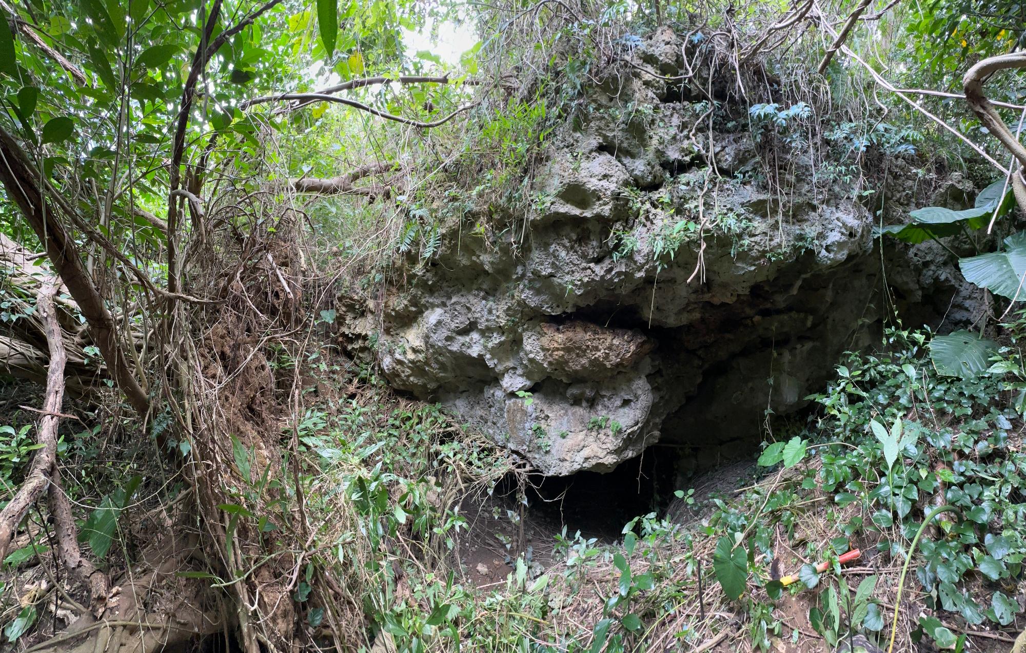 2025 March 31st&nbsp;The entrance to Kushinuka