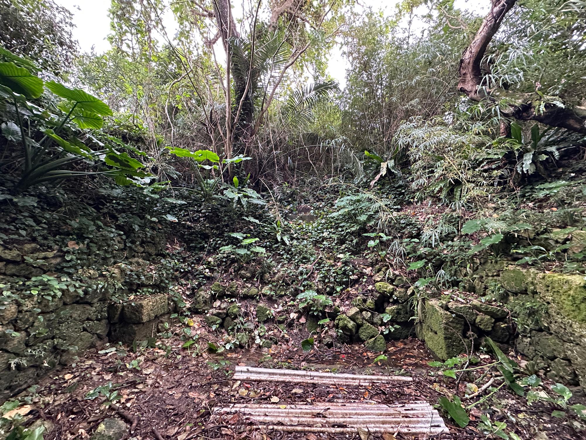 24th Jan 2025 Could not detect water source