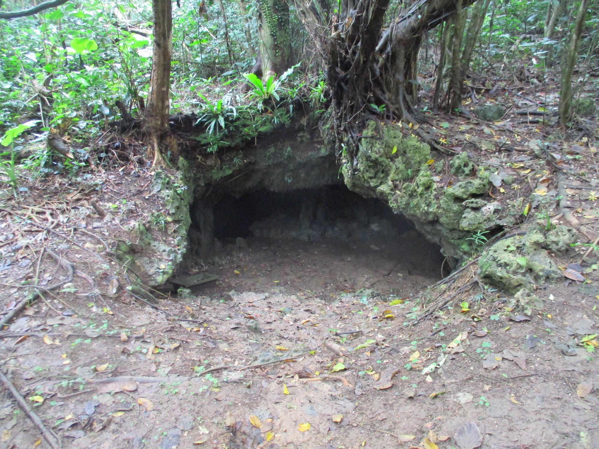 神山テラガマ1