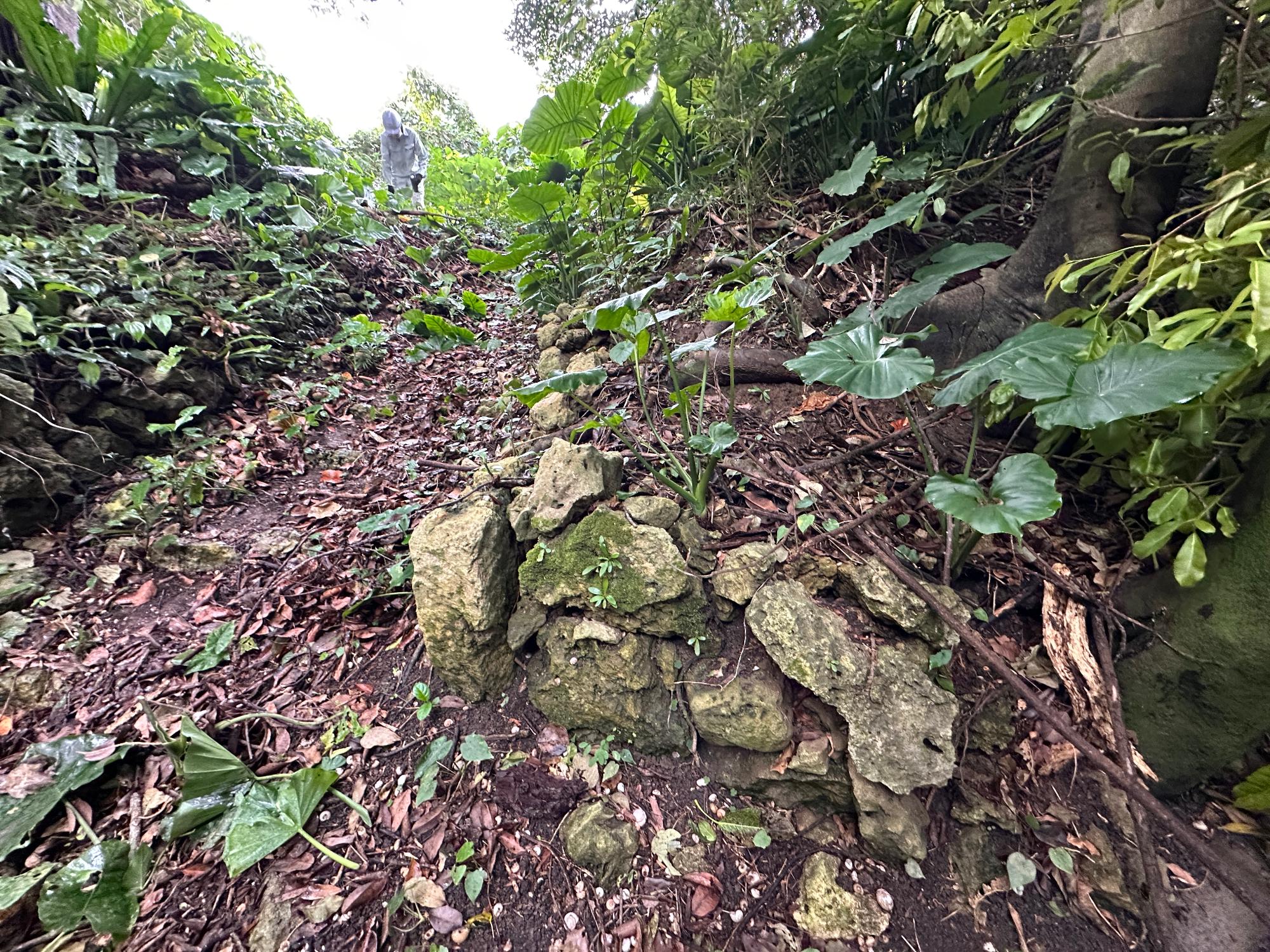 Stacked stones on the left side