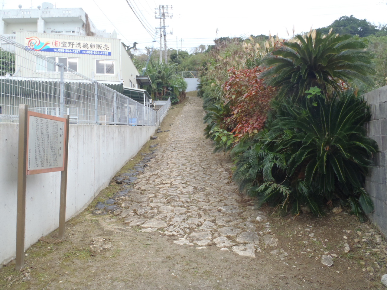 野嵩スディバナビラ石畳道