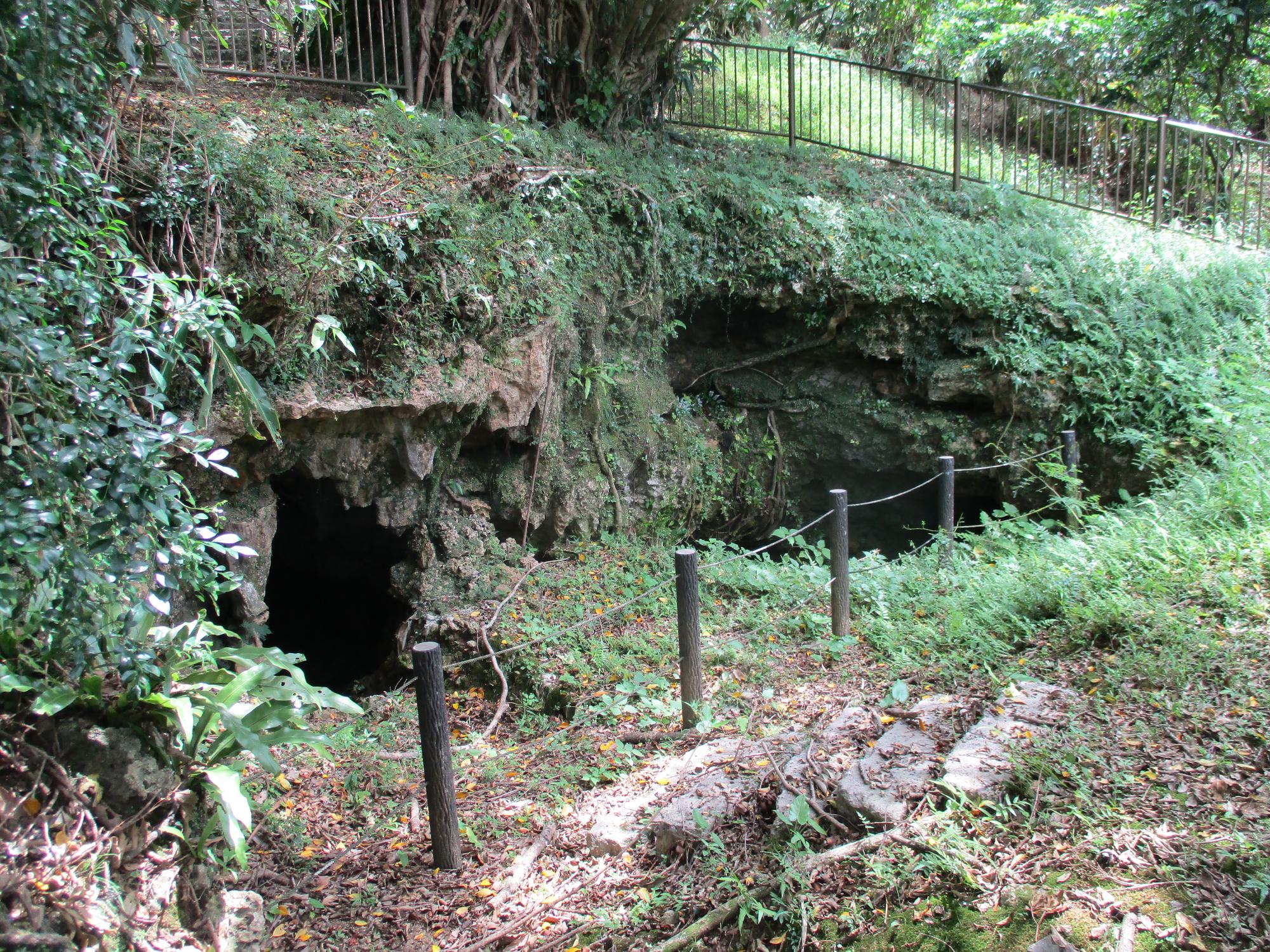 大山マヤーガマ洞穴遺跡