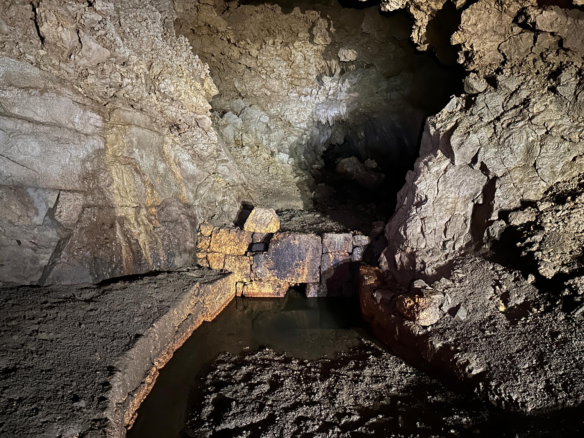 21st January 2025 Mi-ga