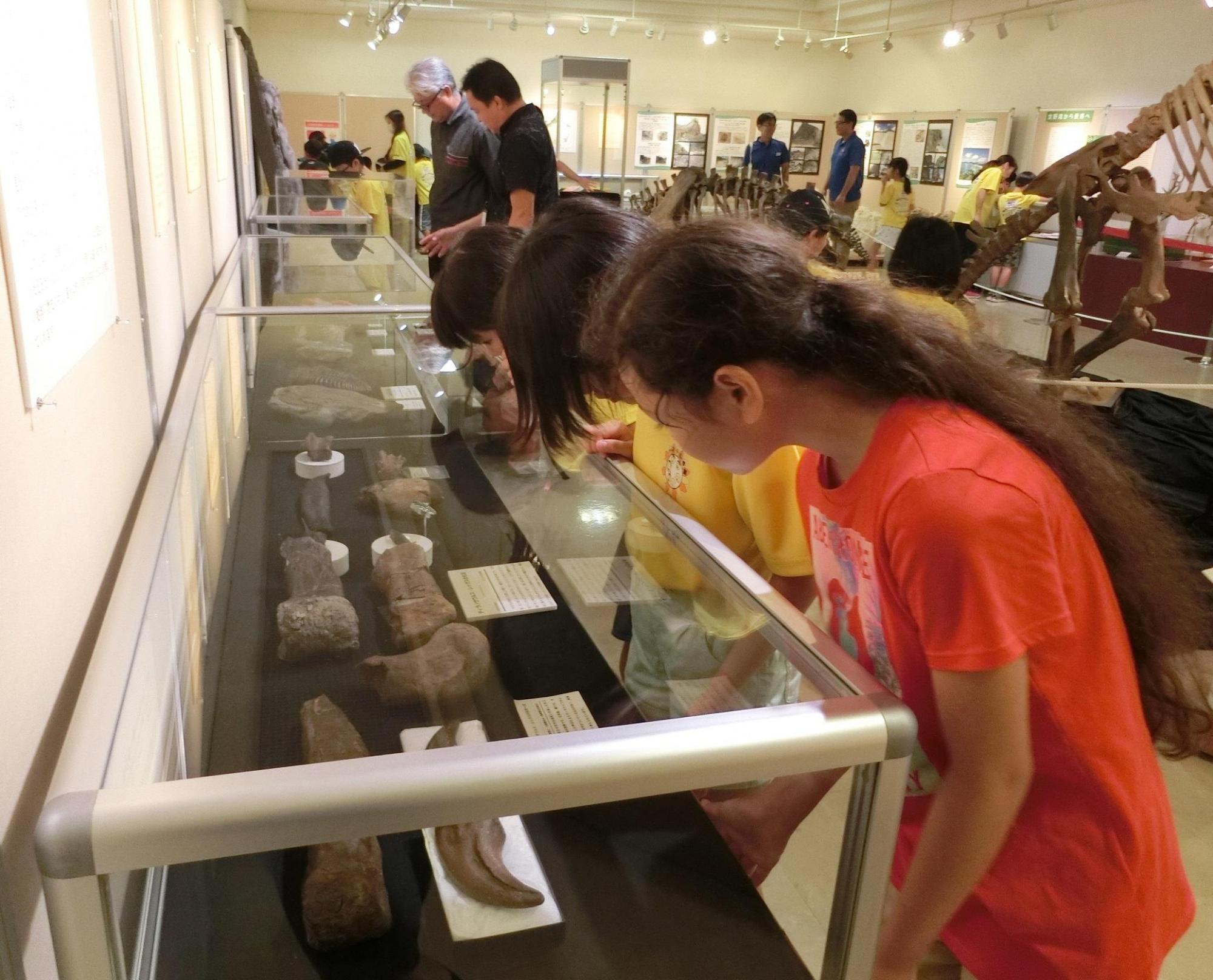 ガラスケースの中に展示されている本物の化石を見学している来場者の写真