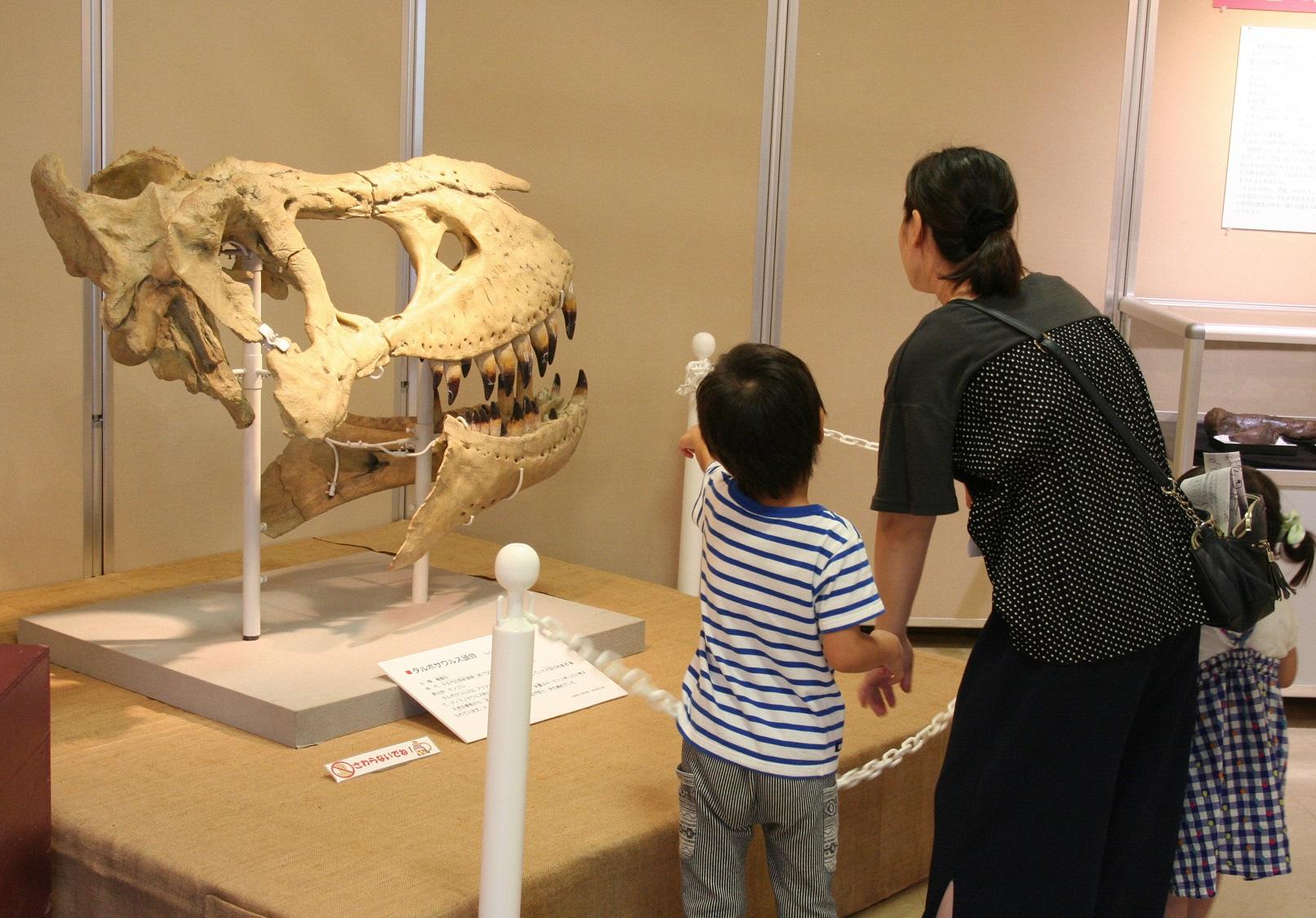 ティラノサウルス科の骨格模型を指さしながら見学している親子連れの写真
