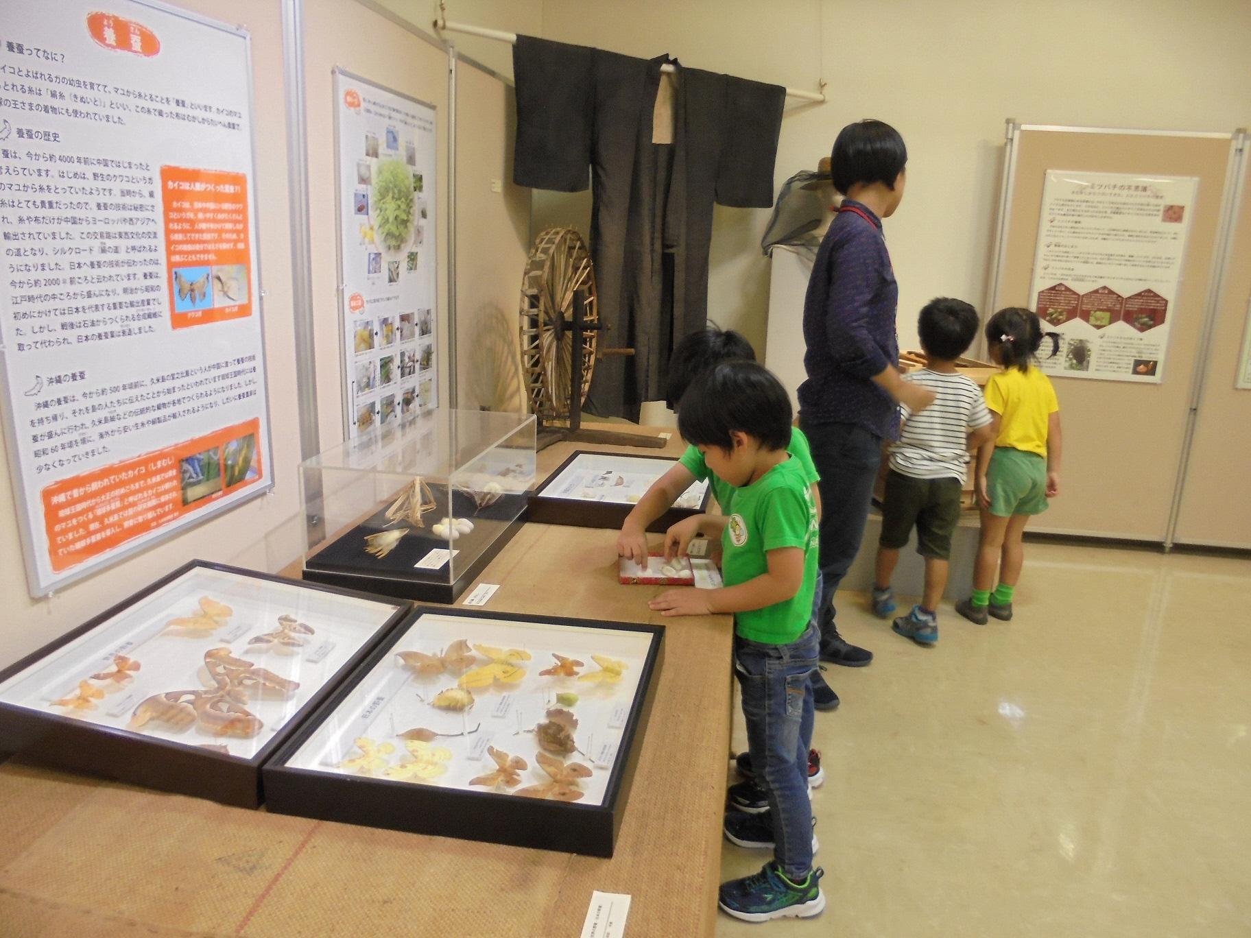 小さな子供たちが標本や展示物を興味深そうに見ている写真