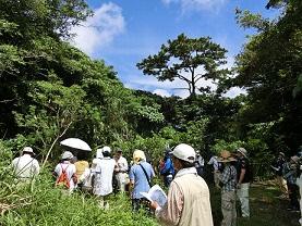 木々が生い茂る森の中にて野外講座を受講している参加者の写真