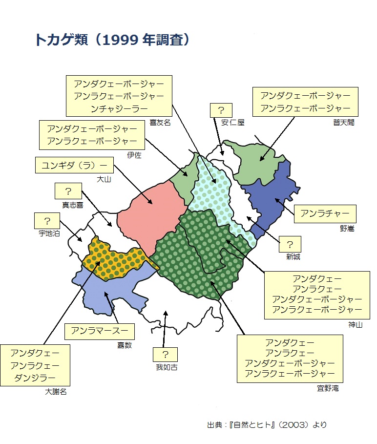 トカゲ類（1999年調査）